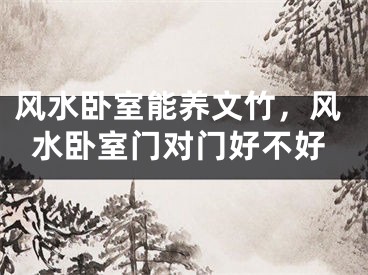 风水卧室能养文竹,风水卧室门对门好不好