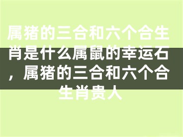 属猪的三合和六个合生肖是什么属鼠的幸运石，属猪的三合和六个合生肖贵人