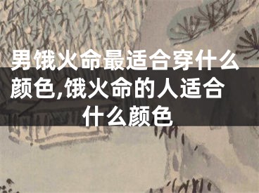 男饿火命最适合穿什么颜色,饿火命的人适合什么颜色