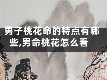 男子桃花命的特点有哪些,男命桃花怎么看