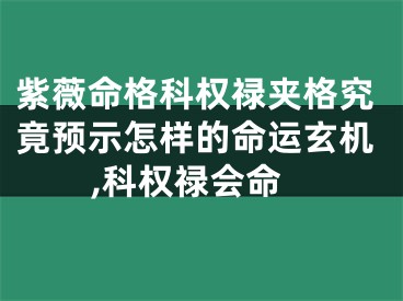 紫薇命格科权禄夹格究竟预示怎样的命运玄机,科权禄会命