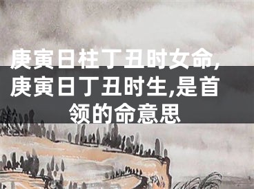 庚寅日柱丁丑时女命,庚寅日丁丑时生,是首领的命意思