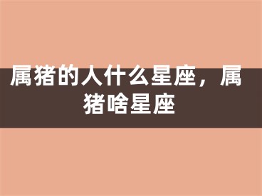 属猪的人什么星座,属猪啥星座