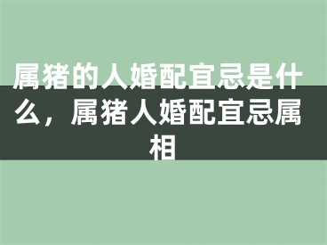 属猪的人婚配宜忌是什么，属猪人婚配宜忌属相