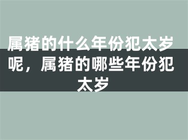 属猪的什么年份犯太岁呢，属猪的哪些年份犯太岁