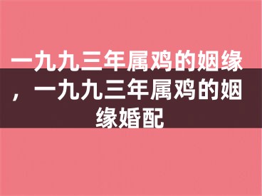 一九九三年属鸡的姻缘,一九九三年属鸡的姻缘婚配