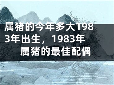 属猪的今年多大1983年出生，1983年属猪的最佳配偶