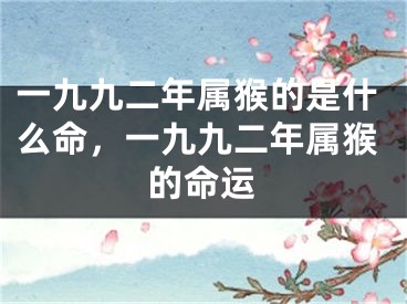 一九九二年属猴的是什么命,一九九二年属猴的命运