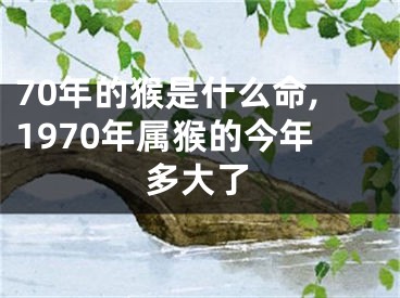 70年的猴是什么命,1970年属猴的今年多大了