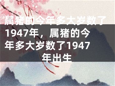 属猪的今年多大岁数了1947年，属猪的今年多大岁数了1947年出生