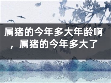 属猪的今年多大年龄啊,属猪的今年多大了