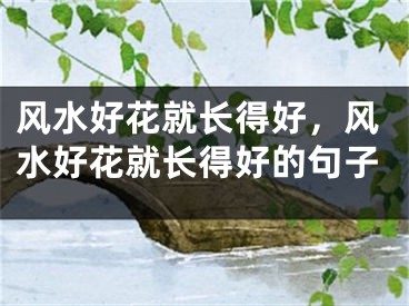 风水好花就长得好，风水好花就长得好的句子