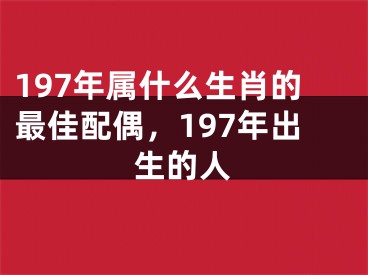 197年属什么生肖的最佳配偶，197年出生的人