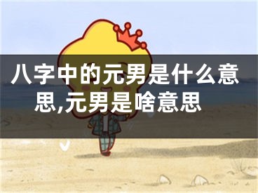 八字中的元男是什么意思,元男是啥意思
