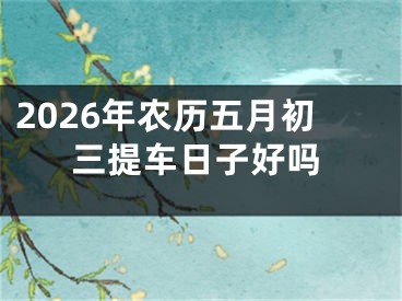 2026年农历五月初三提车日子好吗