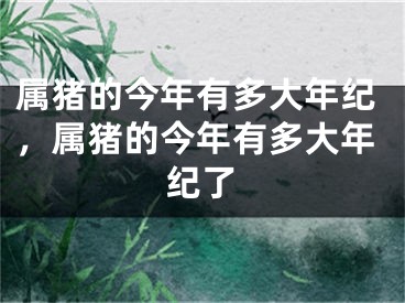 属猪的今年有多大年纪，属猪的今年有多大年纪了