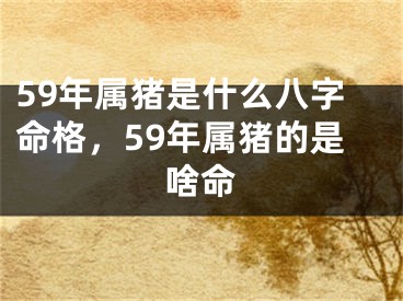 59年属猪是什么八字命格，59年属猪的是啥命