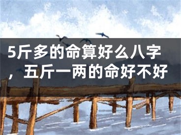 5斤多的命算好么八字，五斤一两的命好不好