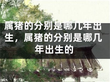 属猪的分别是哪几年出生，属猪的分别是哪几年出生的