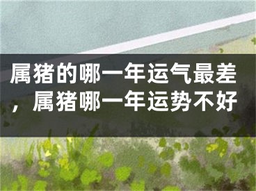 属猪的哪一年运气最差，属猪哪一年运势不好