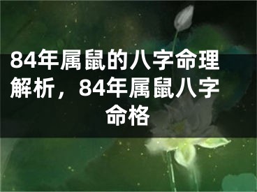 84年属鼠的八字命理解析，84年属鼠八字命格