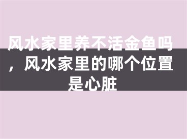 风水家里养不活金鱼吗,风水家里的哪个位置是心脏
