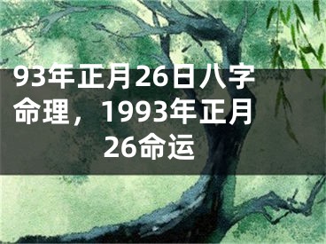 93年正月26日八字命理，1993年正月26命运