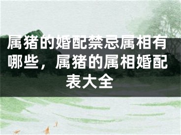 属猪的婚配禁忌属相有哪些，属猪的属相婚配表大全