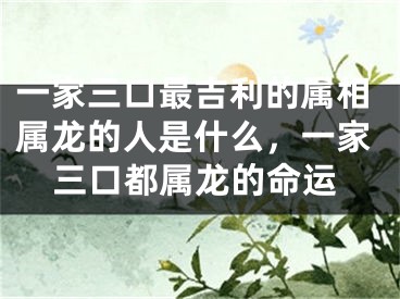 一家三口最吉利的属相属龙的人是什么,一家三口都属龙的命运