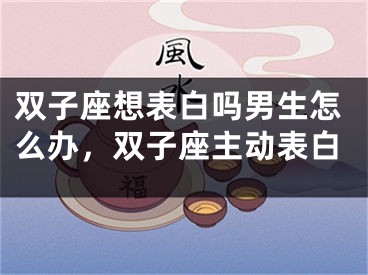 双子座想表白吗男生怎么办，双子座主动表白
