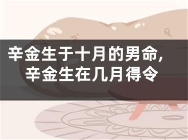 辛金生于十月的男命,辛金生在几月得令