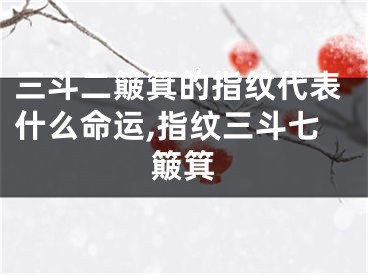 三斗二簸箕的指纹代表什么命运,指纹三斗七簸箕