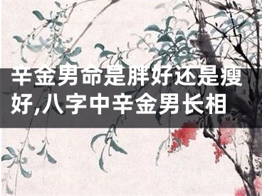 辛金男命是胖好还是瘦好,八字中辛金男长相