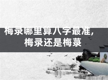 梅录哪里算八字最准,梅录还是梅菉