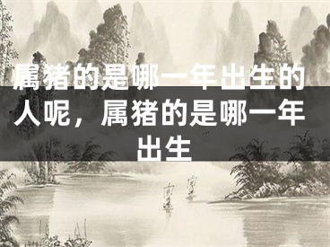 属猪的是哪一年出生的人呢,属猪的是哪一年出生