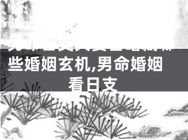 男命日支夫妻宫暗藏哪些婚姻玄机,男命婚姻看日支