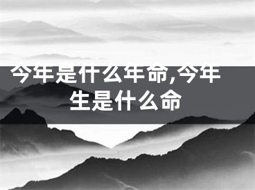 今年是什么年命,今年生是什么命