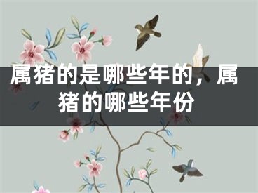 属猪的是哪些年的,属猪的哪些年份