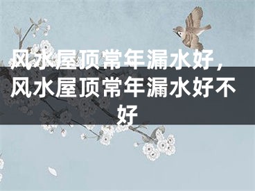 风水屋顶常年漏水好，风水屋顶常年漏水好不好