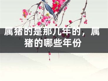 属猪的是那几年的,属猪的哪些年份