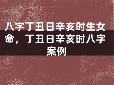 八字丁丑日辛亥时生女命，丁丑日辛亥时八字案例