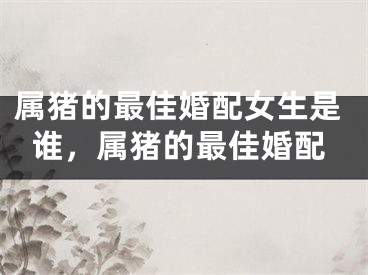 属猪的最佳婚配女生是谁,属猪的最佳婚配