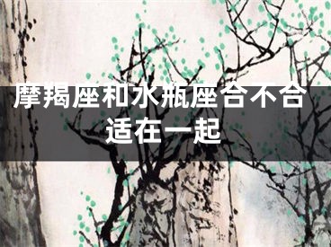 摩羯座和水瓶座合不合适在一起