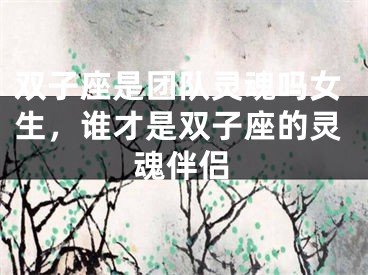 双子座是团队灵魂吗女生，谁才是双子座的灵魂伴侣