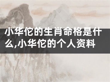 小华佗的生肖命格是什么,小华佗的个人资料