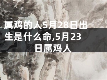 属鸡的人5月28日出生是什么命,5月23日属鸡人