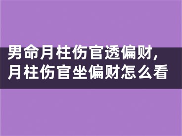 男命月柱伤官透偏财,月柱伤官坐偏财怎么看