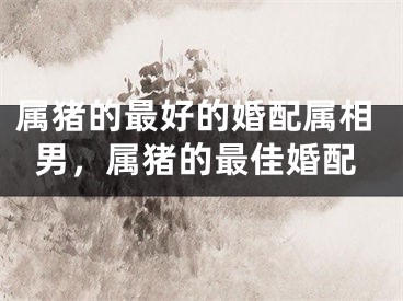 属猪的最好的婚配属相男,属猪的最佳婚配