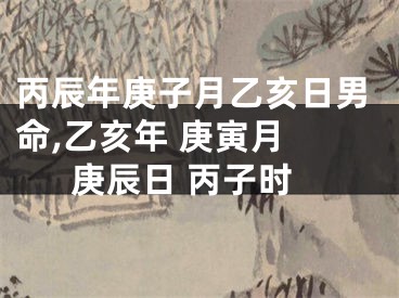 丙辰年庚子月乙亥日男命,乙亥年 庚寅月 庚辰日 丙子时