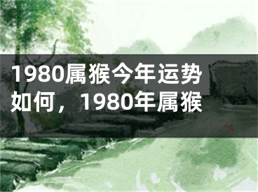1980属猴今年运势如何,1980年属猴